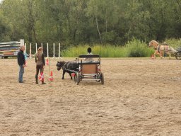 img_9507_web